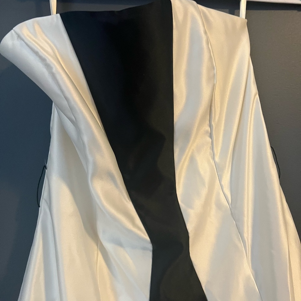 Jessica McClintock Off White cocktail dress with black stripe Size 10 - Picture 2 of 3